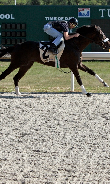 Santa Anita explores possible return to synthetic surface